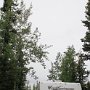 <p align=left>Tok RV village, à Tok évidemment, 39$US. Le wi-fi gratuit mais une heure seulement, rien que pour se connecter, ça prend un cours universitaire!